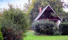 Einfamilienhaus Lieskau Waldheil - Ansicht vom Garten