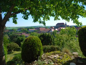 Wochenendgrundstück in Wettin - Blick von der Terrasse