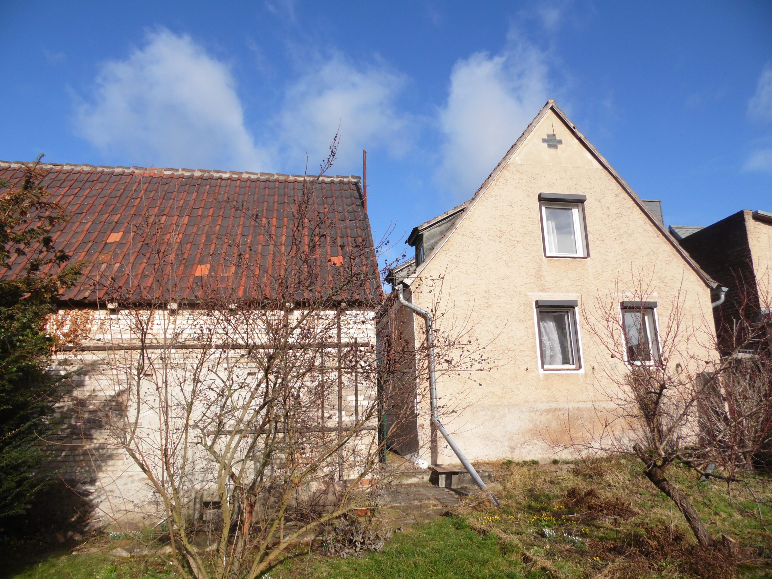Einfamilienhaus Halle-Lettin - Ansicht vom Garten