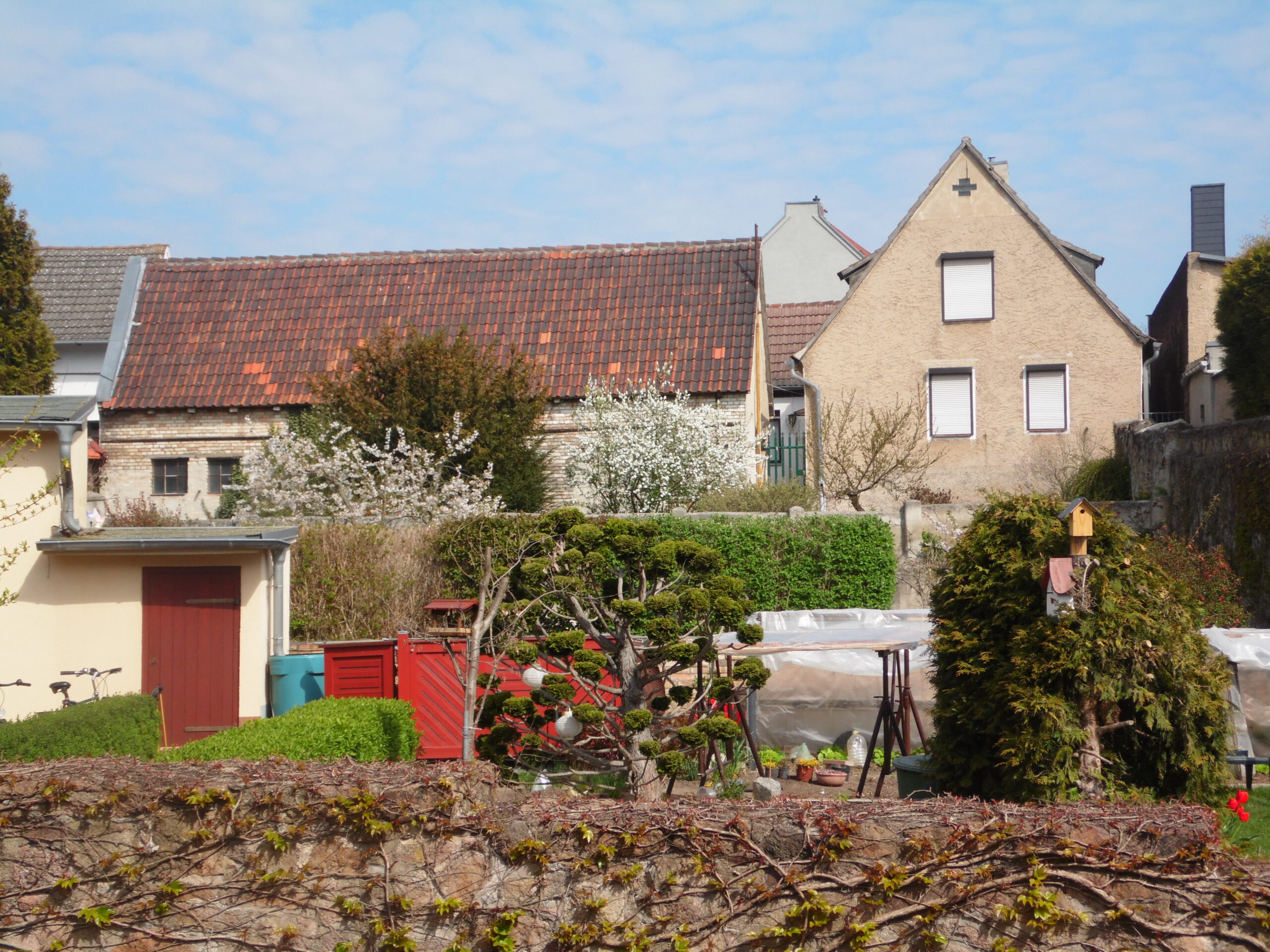 Einfamilienhaus Halle-Lettin - Blick vom Garten