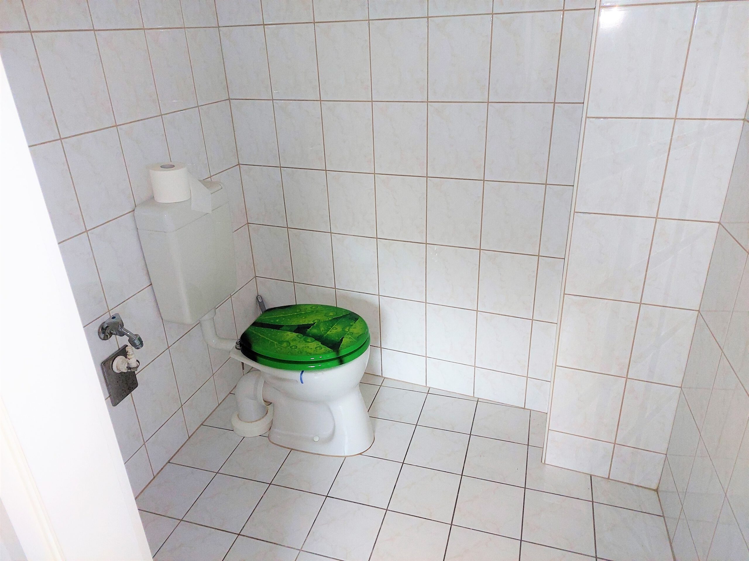 Einfamilienhaus in Wörbzig - Gäste-WC