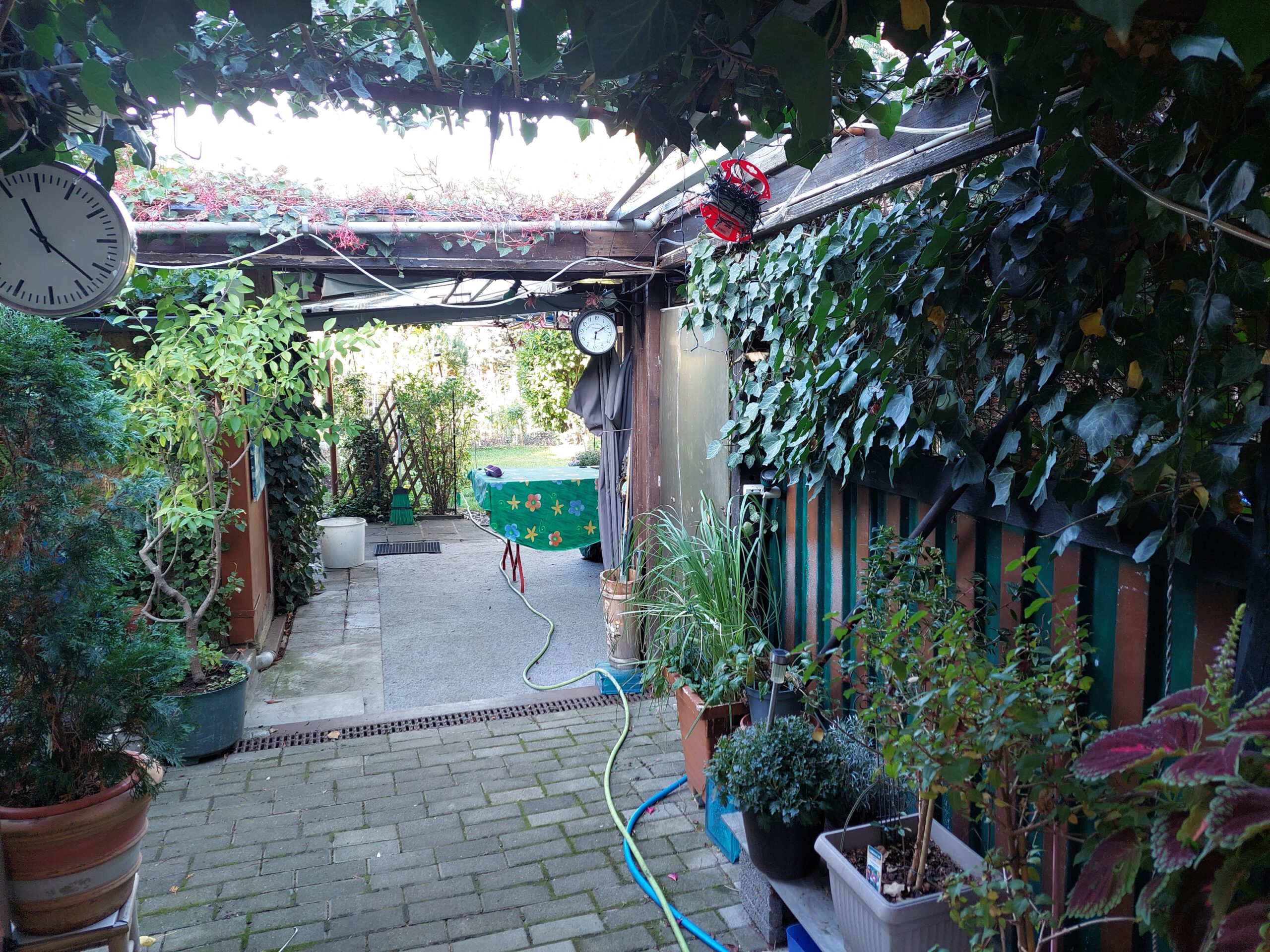 Schollehaus - Durchgang zum Garten mit Laube