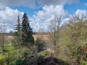 Baugrundstück Ammendorf - Blick über das Grundstück