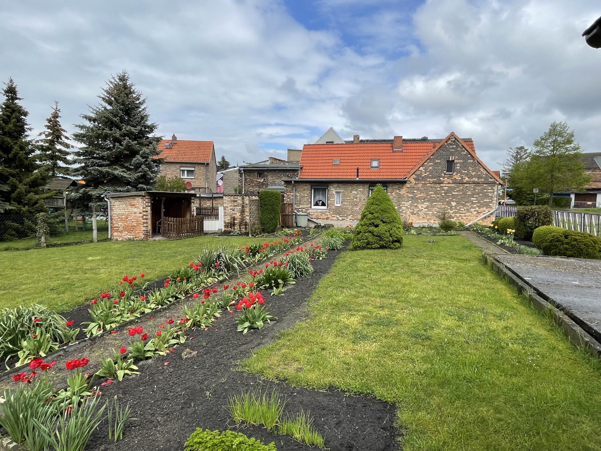 Einfamilienhaus in Amsdorf - Blick vom Garten