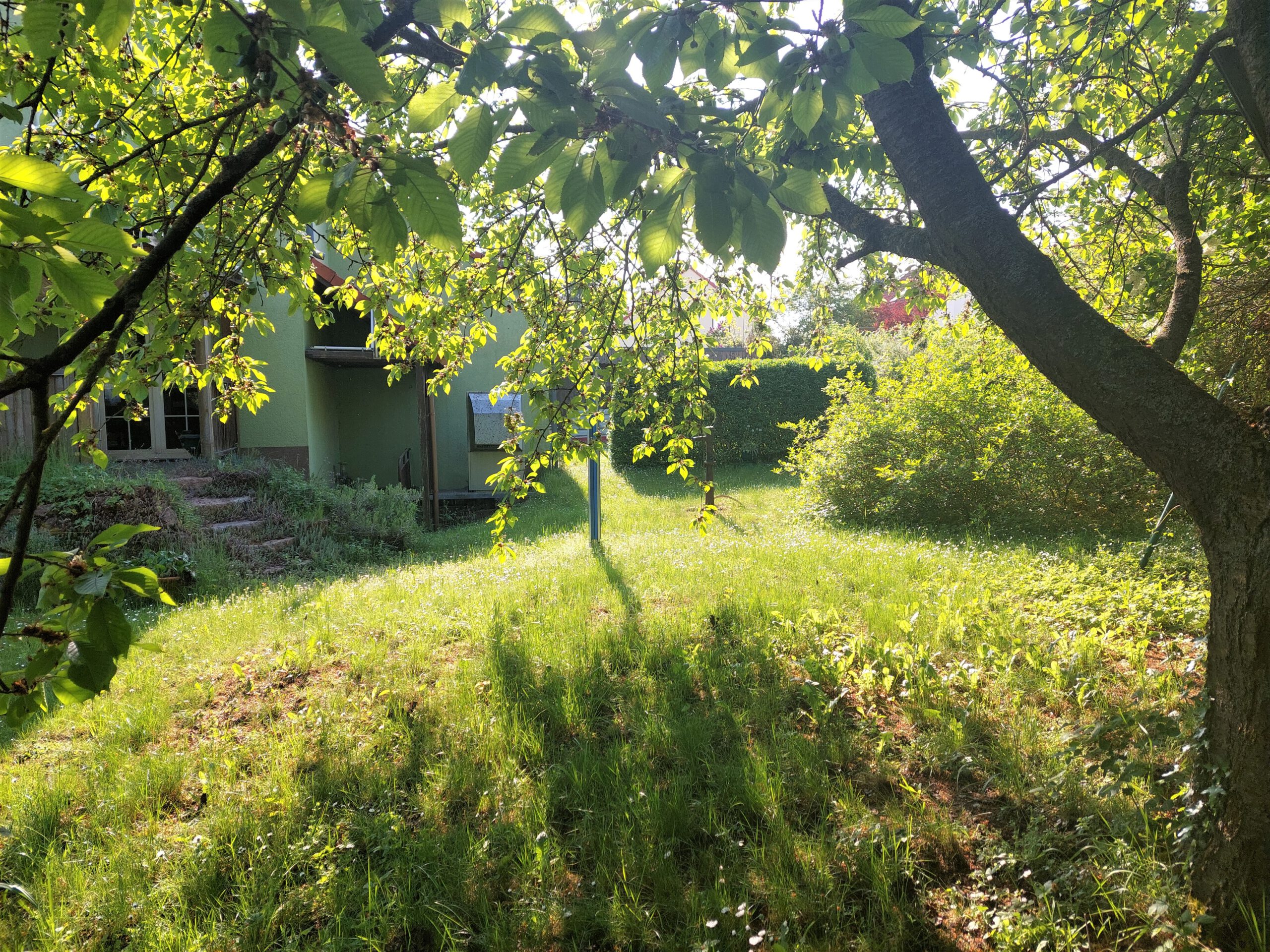 Einfamilienhaus Oppin - Gartenblick