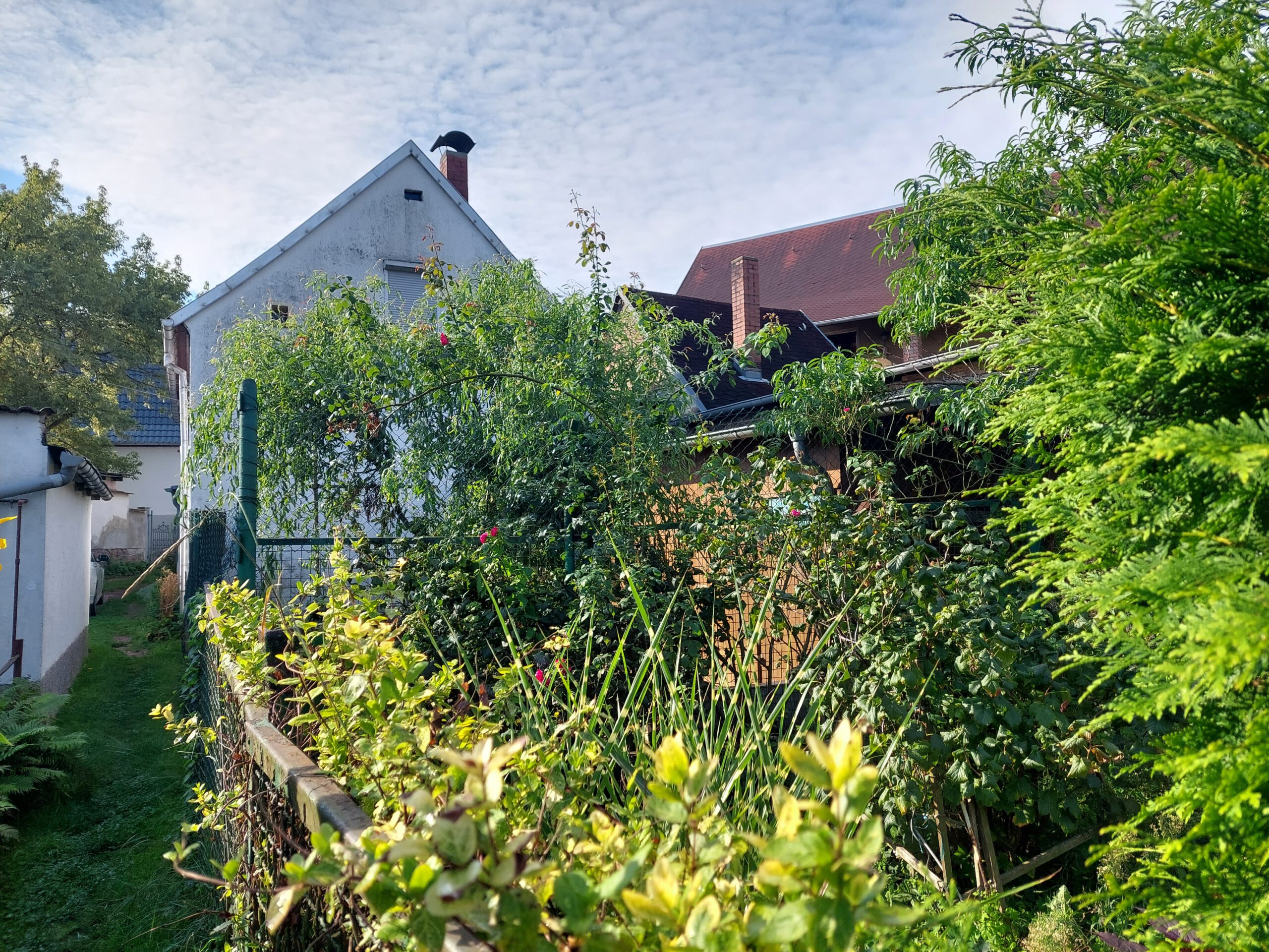 Einfamilienhaus in Merkewitz - Blick vom Garten