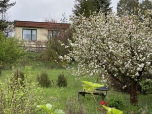 Erholungsgrundstück in Müllerdorf - Blick vom Garten zum Bungalow