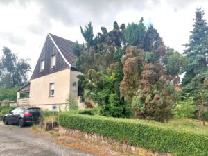 Einfamilienhaus Mösthinsdorf - seitliche Straßenansicht