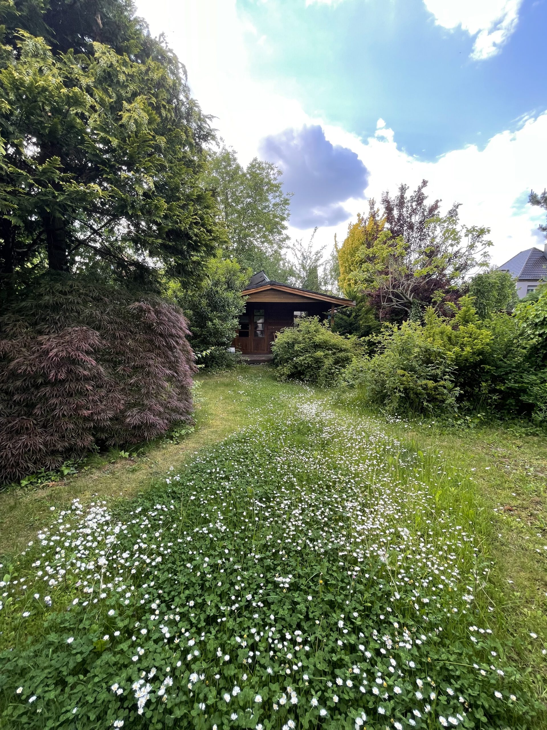 Einfamilienhaus Frohe Zukunft - Blick zum Gartenhaus