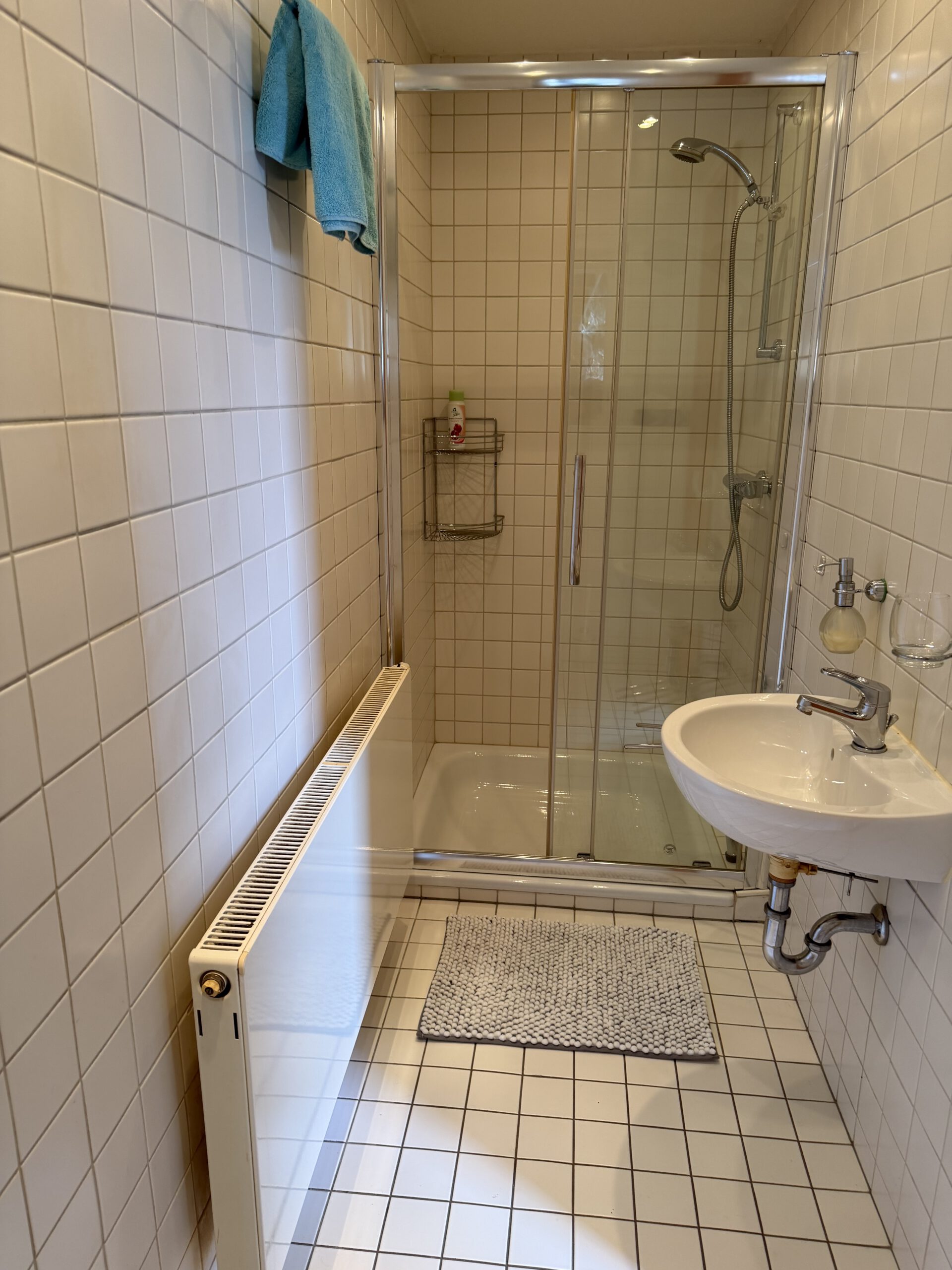 Einfamilienhaus Frohe Zukunft - Duschbad im Erdgeschoss