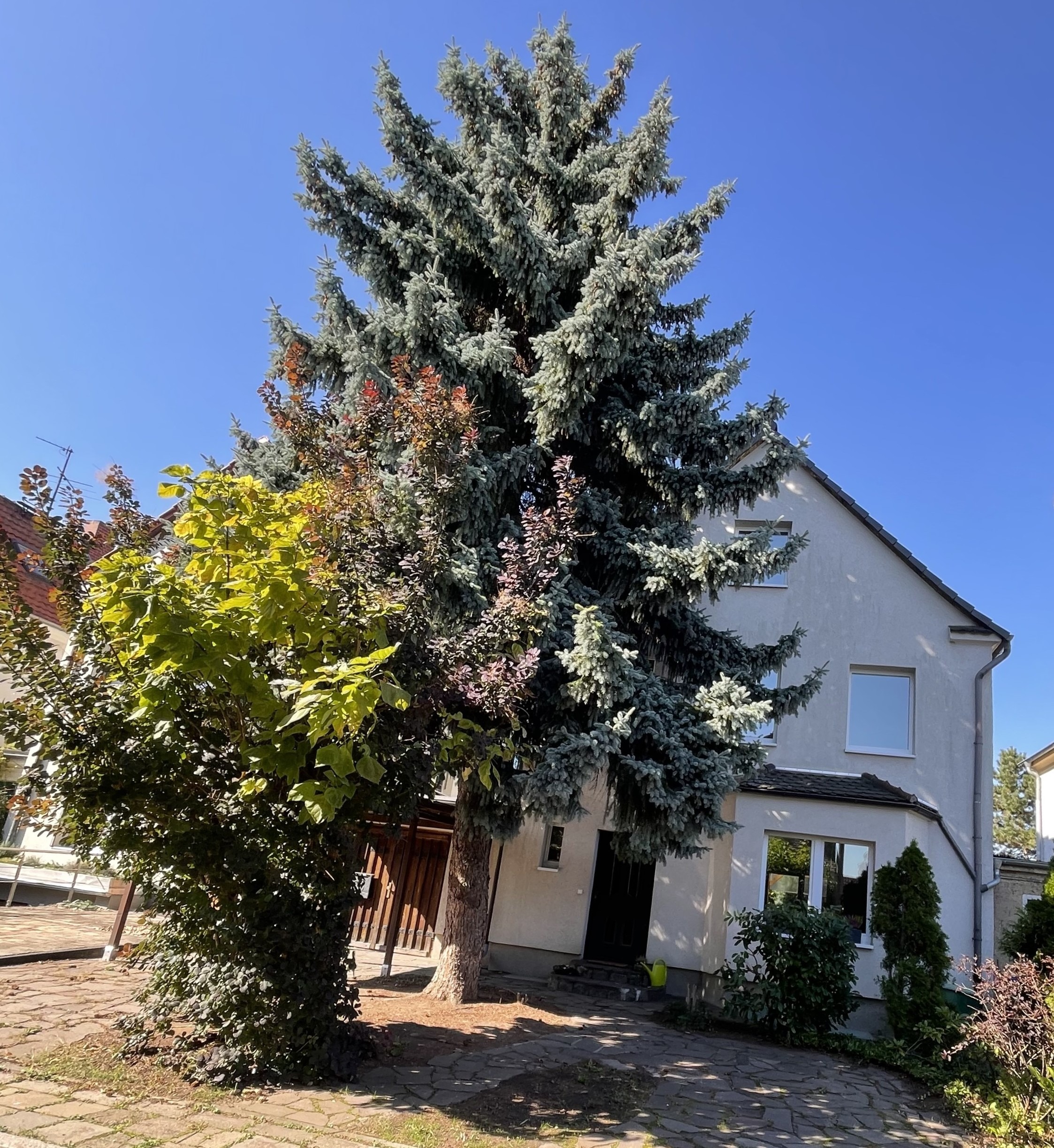 Einfamilienhaus Frohe Zukunft - Straßenansicht