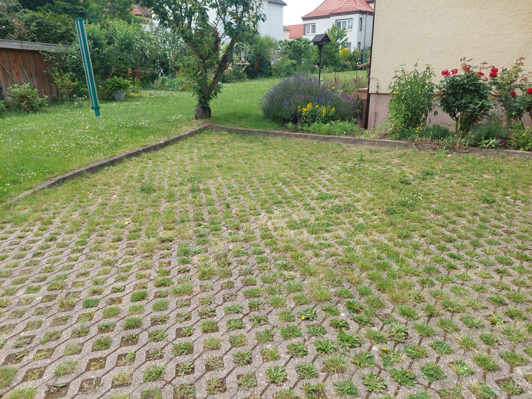 Eigentumswohnung in der Frohen Zukunft - Stellplatz