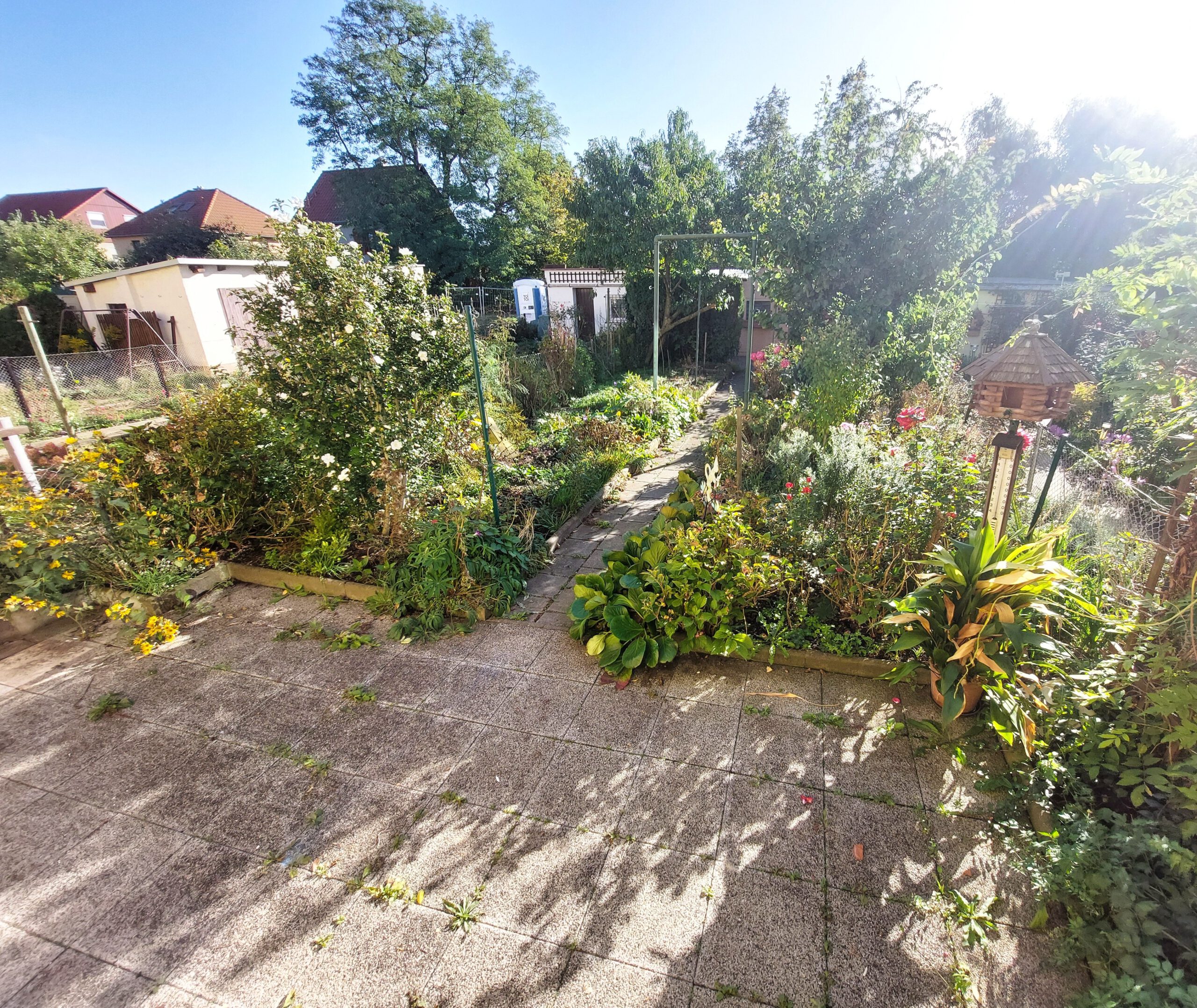 Einfamilienhaus im Süden von Halle - Blick in den Garten