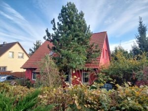 Einfamilienhaus in Drobitz - Straßenansicht
